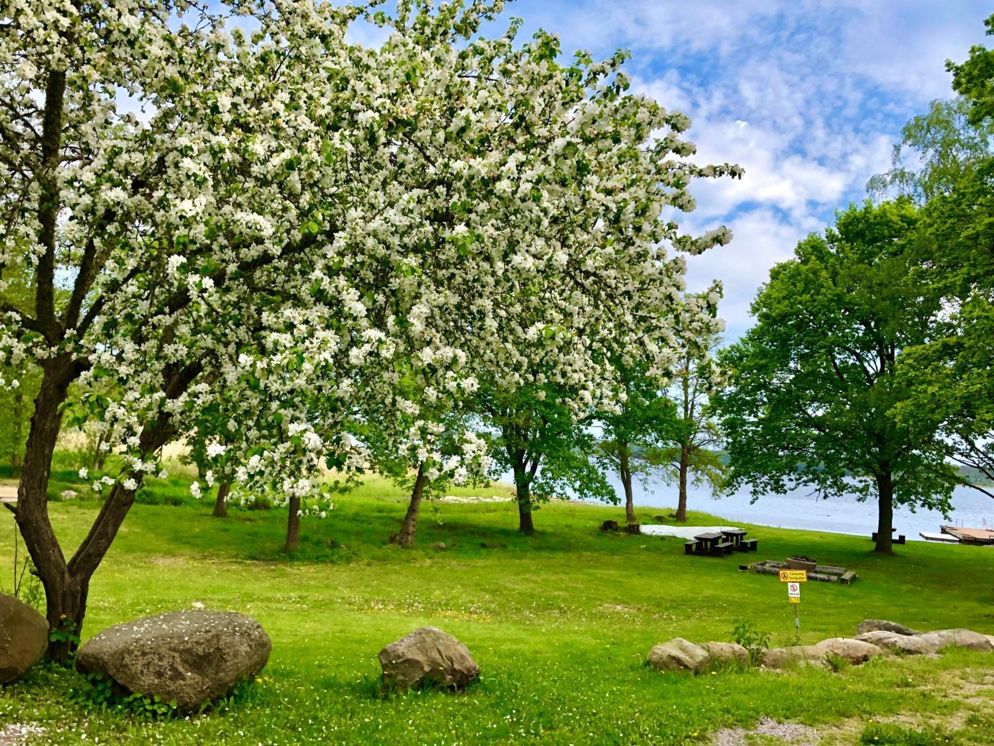 Ostello Marsbaecken Västervik Esterno foto