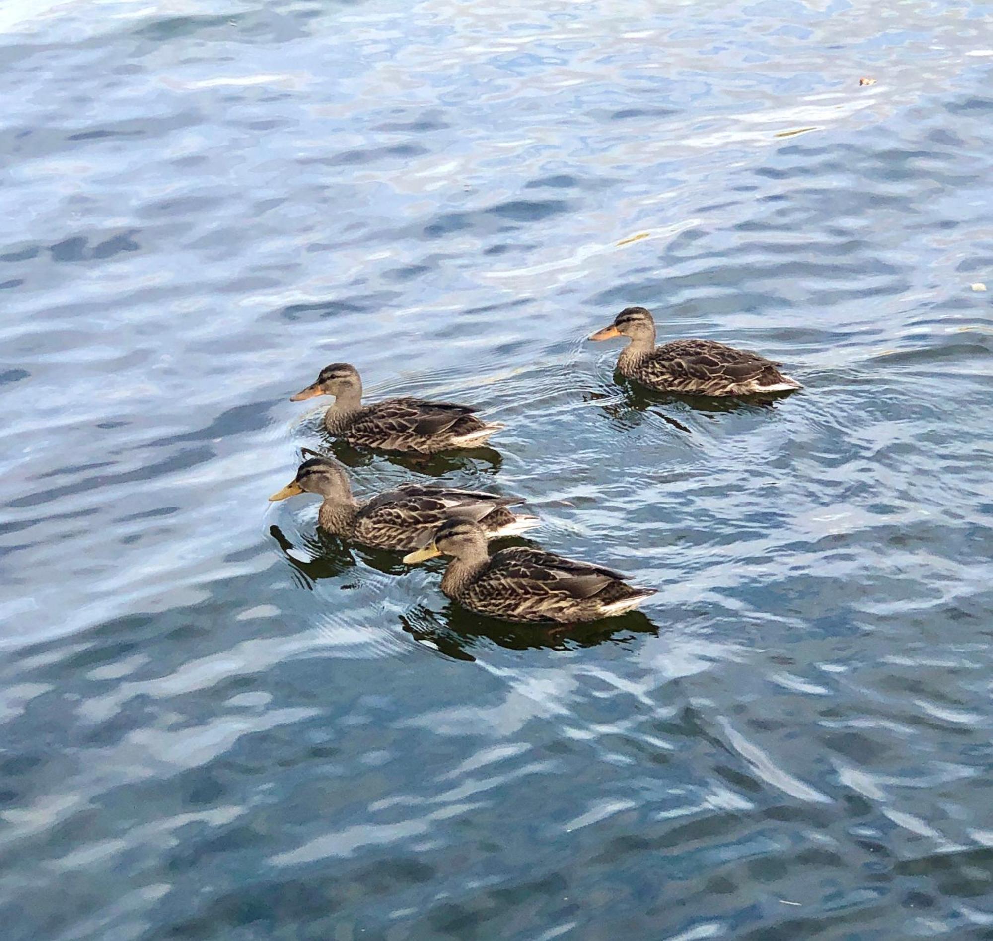 Ostello Marsbaecken Västervik Esterno foto